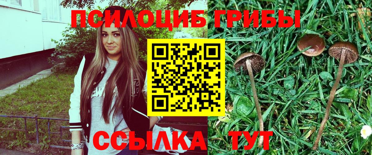 Псилоцибиновые грибы MAGIC MUSHROOMS Крымск