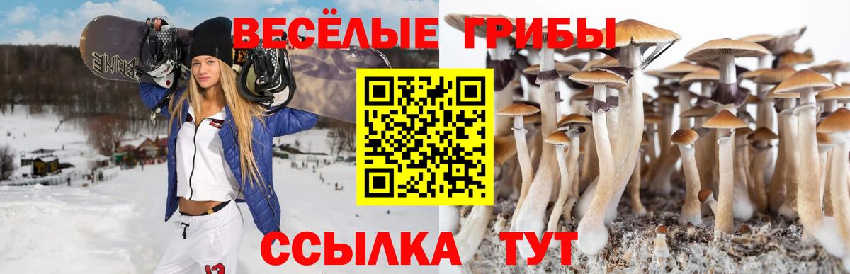 Псилоцибиновые грибы MAGIC MUSHROOMS  Галлюциногенные грибы Magic Shrooms  Вход с VPN  Крымск 